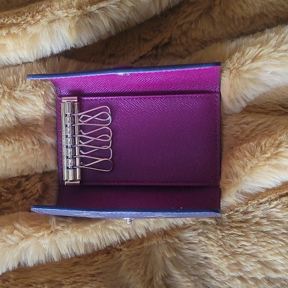 Luis Vuitton 6 key holder